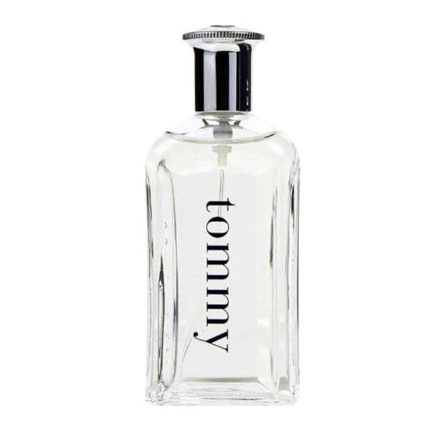 TOMMY HILFIGER TOMMY (M) EDT 100ML